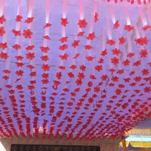 RIBBON CEAILNG