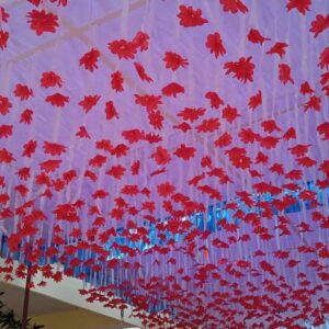 Ribbon celling
